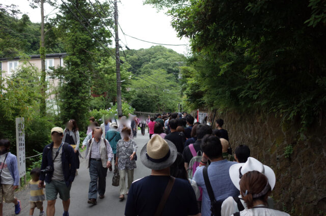 高校のクラス会　明月院で紫陽花を堪能