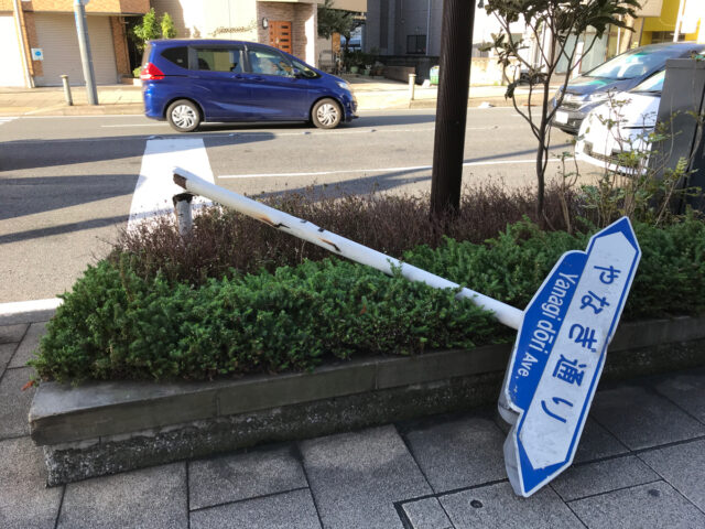 台風一過の東京・浦安　2018.10.1